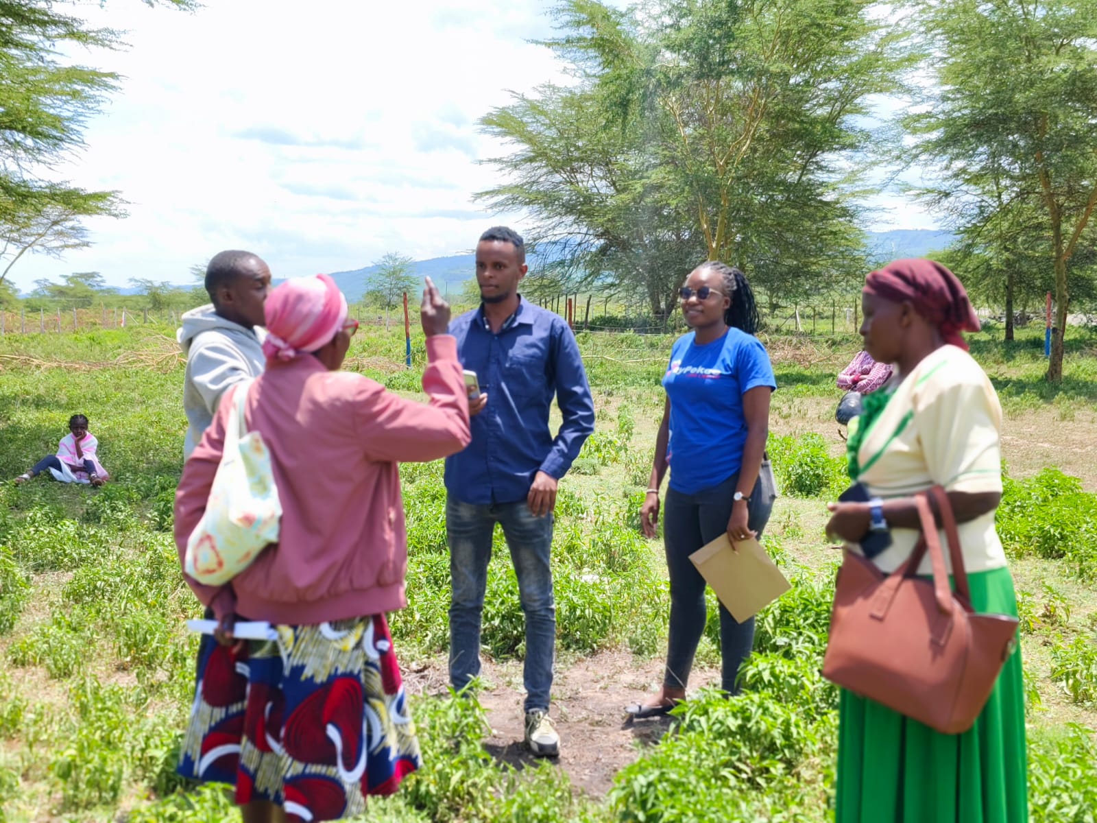 NAKURU RUNDA PHASE IV