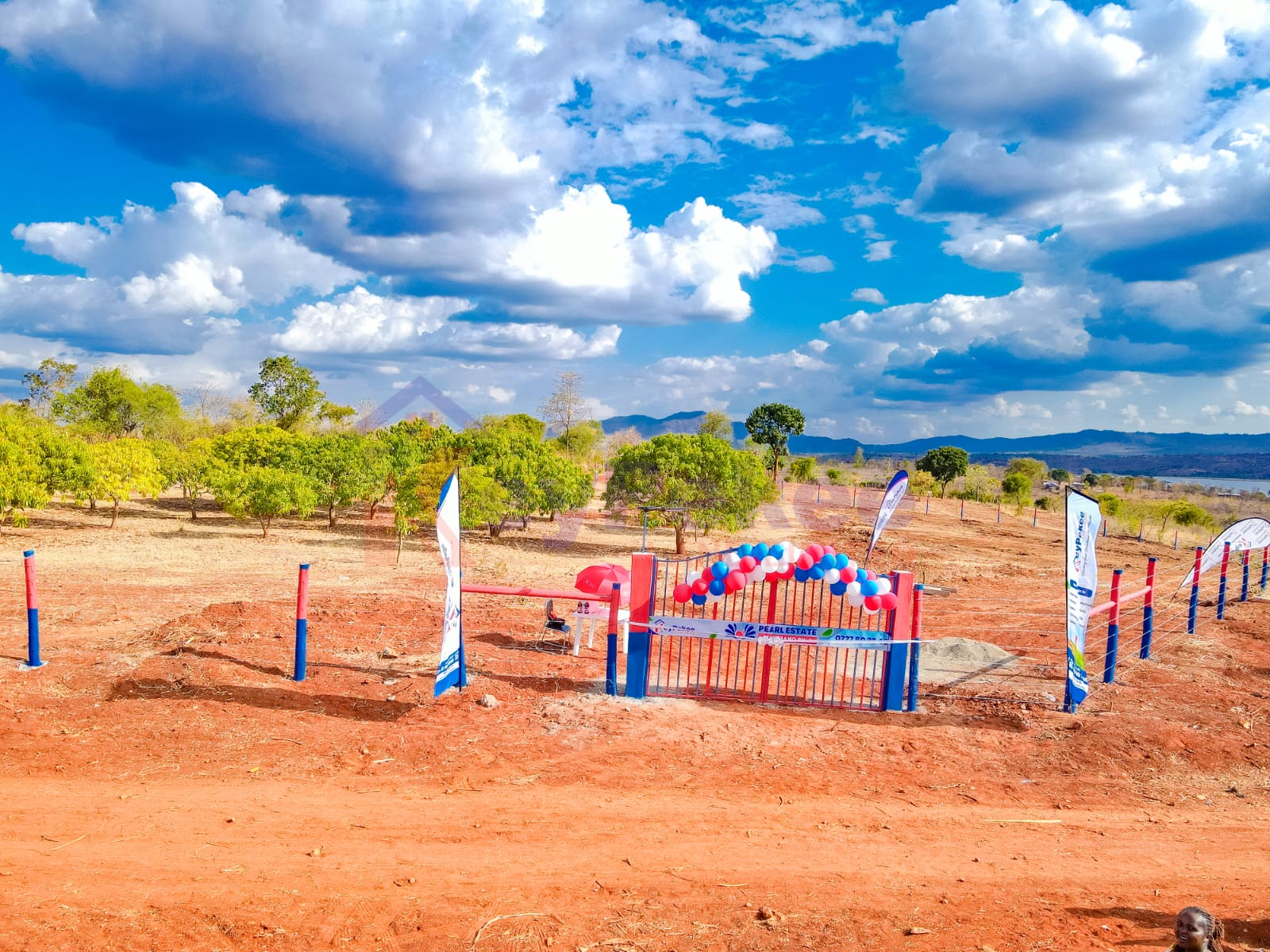 SERENE GARDEN, Matuu Masinga