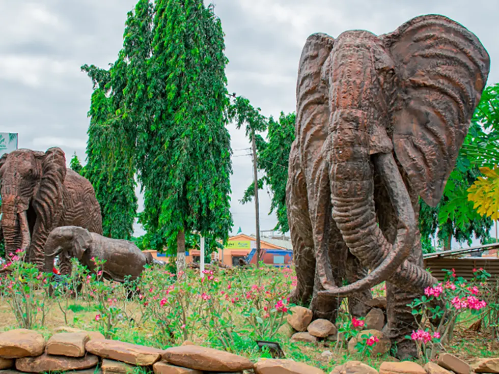 	ALMASI PHASE 2 (Malindi ,Baolala) plots 