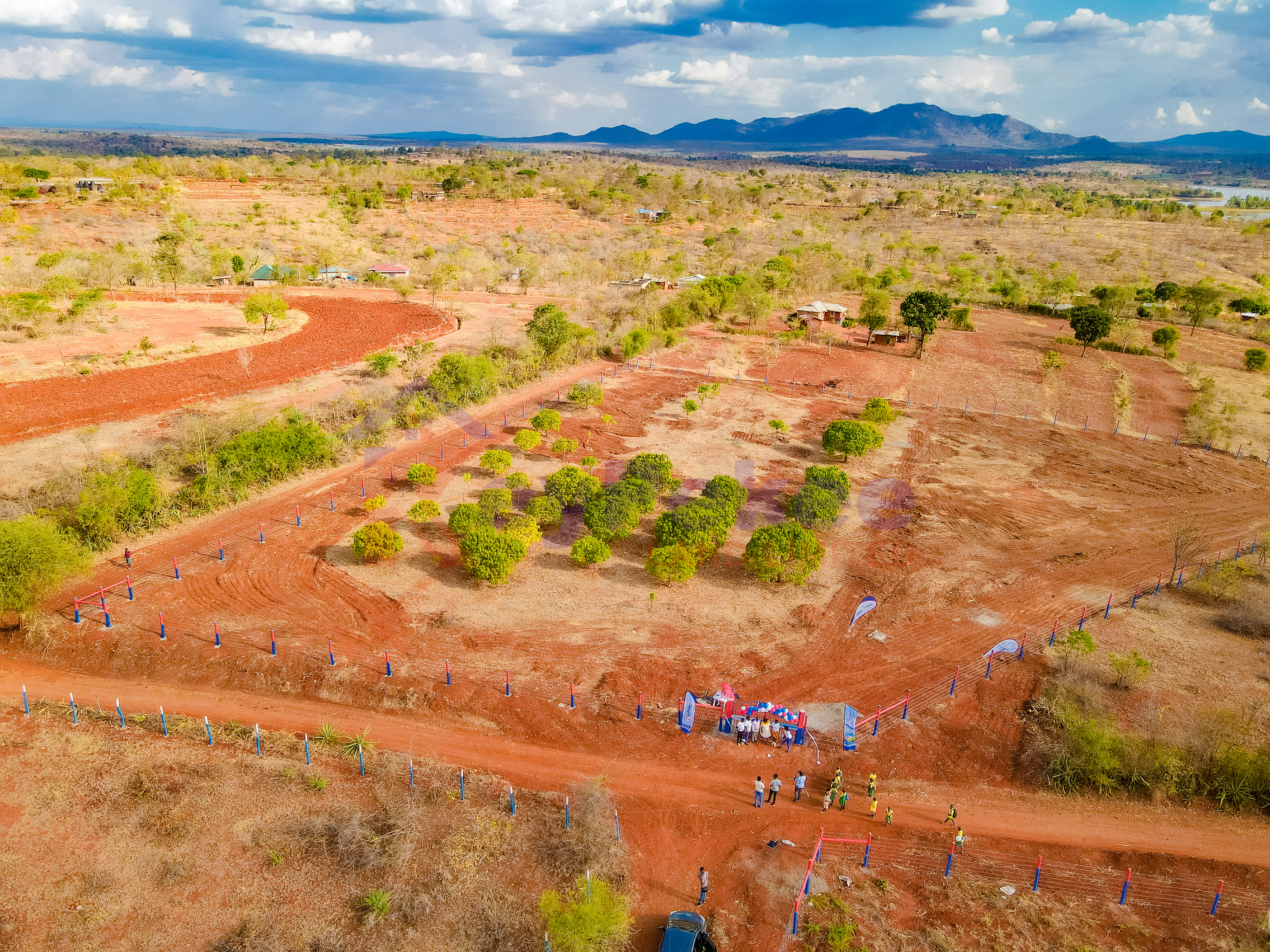 Aerial View of Plots