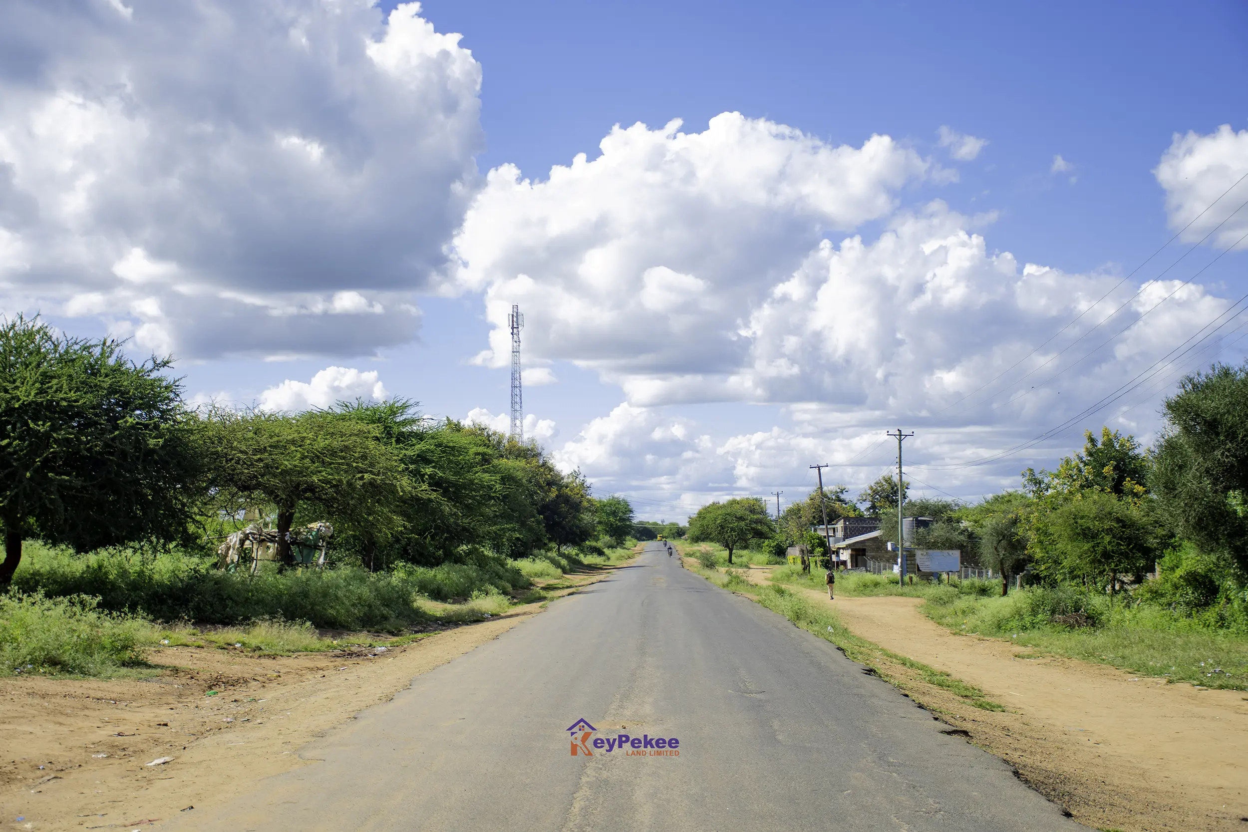 Aerial View of Plots
